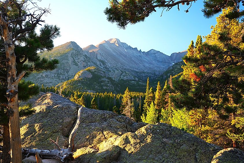 Longs Peak seen through the Trees on the Dream Lake Trail, Rocky Mountain National Park, Colorado.