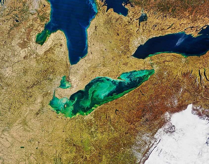 Lake Erie, algae and sediment in satellite view.