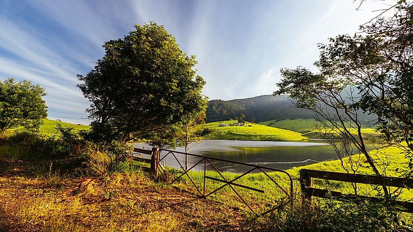 Farmland landscape views at sunset near Central Tilba in New South Wales, Australia.