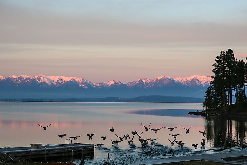 The beautiful Flathead Lake, Montana.