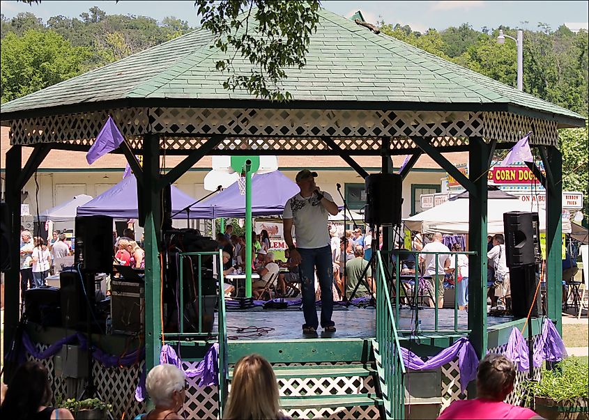Altus Grape Festival, Altus, Arkansas
