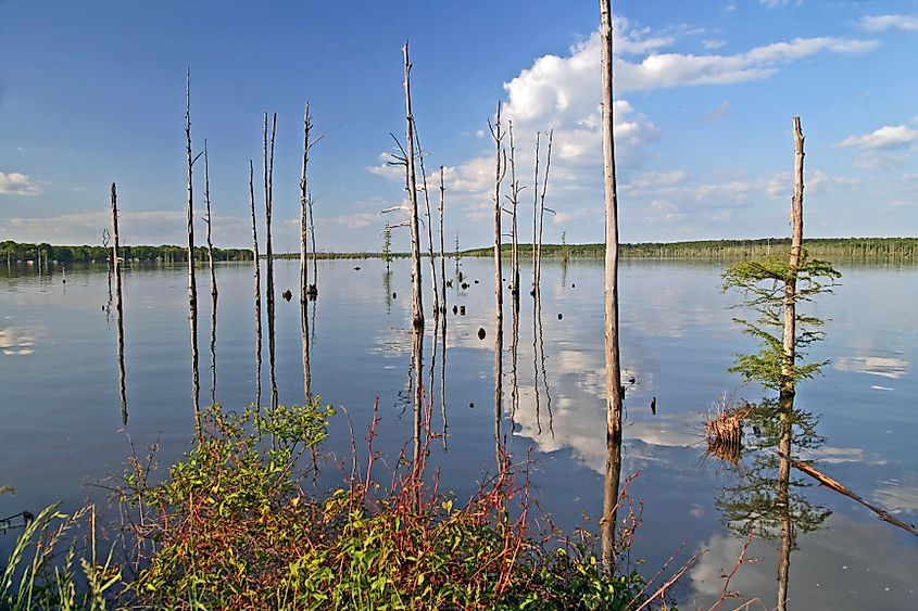 View of Lake Conway in Arkansas.