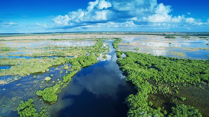 Wetlands of the Everglades in Florida