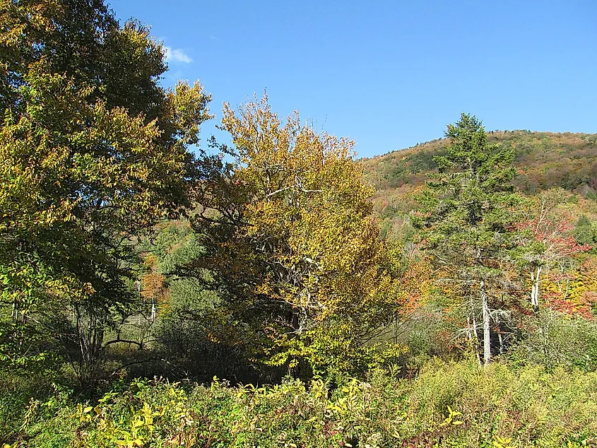 Thundering Falls, Killington, Vermont.