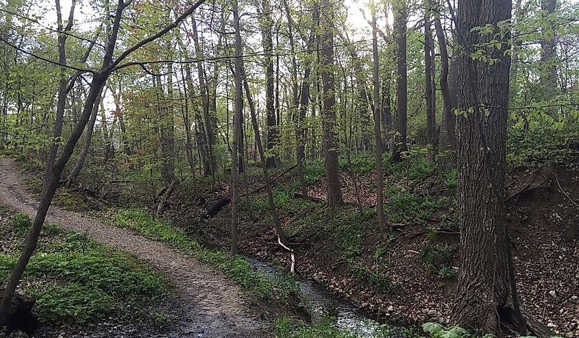 Pathway in Ravine Park in Lake Bluff. 