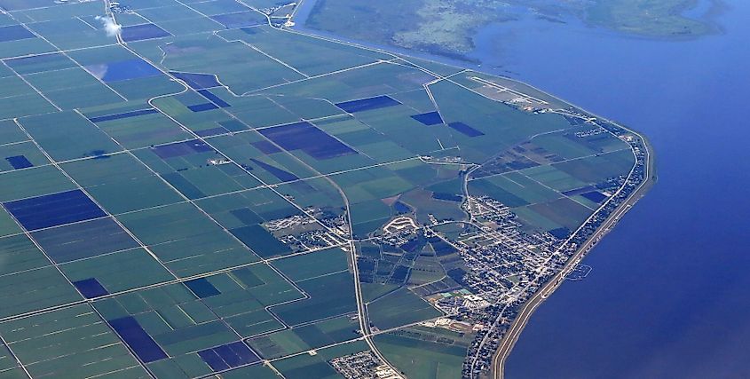 Florida everglades