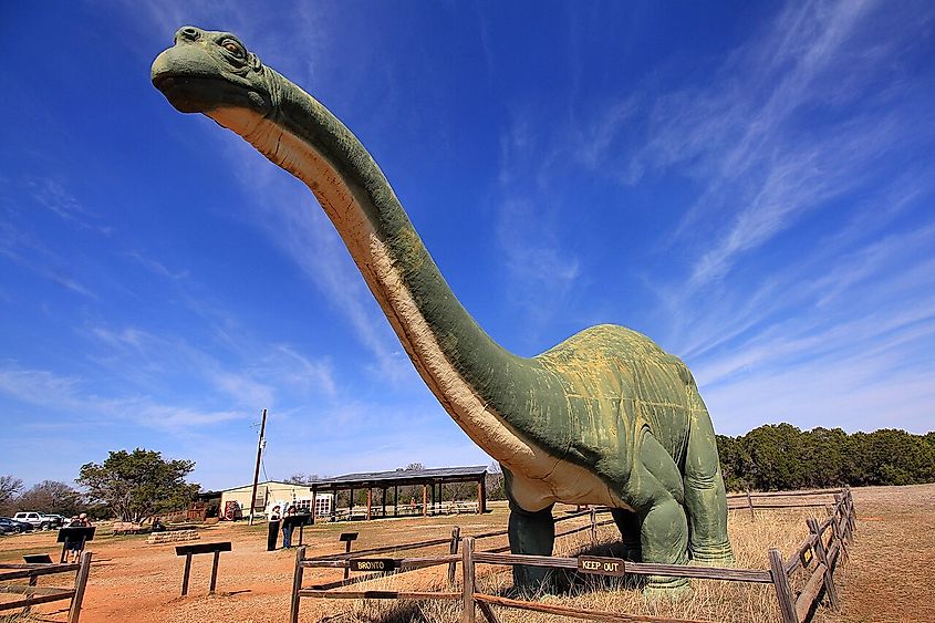 Apatosaurus model at Dinosaur Valley State Park.