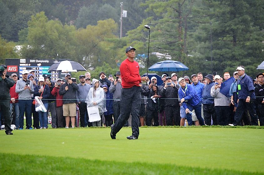 Tiger Woods at the BMW Championship at Aronimink Golf Club, 2018.