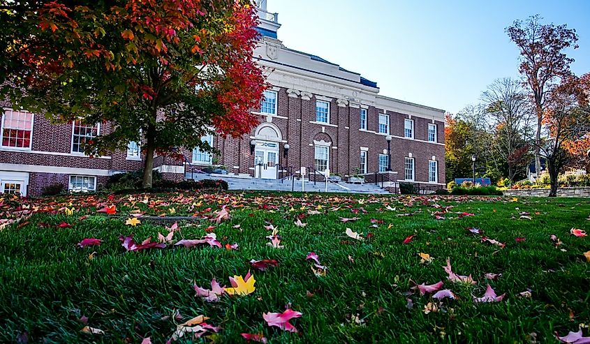 Beautiful autumn colored tree with New Canaan's Town Hall