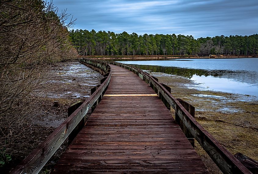 Wooden boardwalk in Cheraw State Park,South Carolina