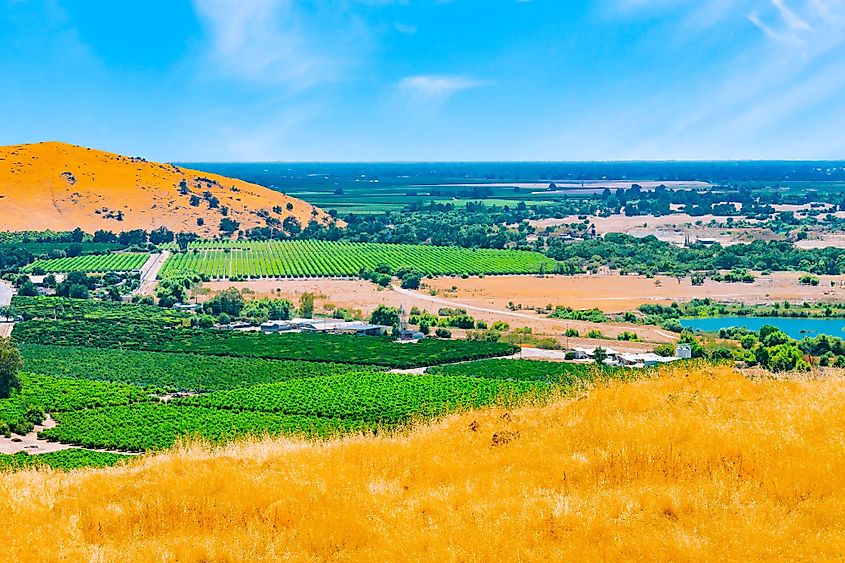 A hilltop view across the San Joaquin Valley on a clearing foggy day.