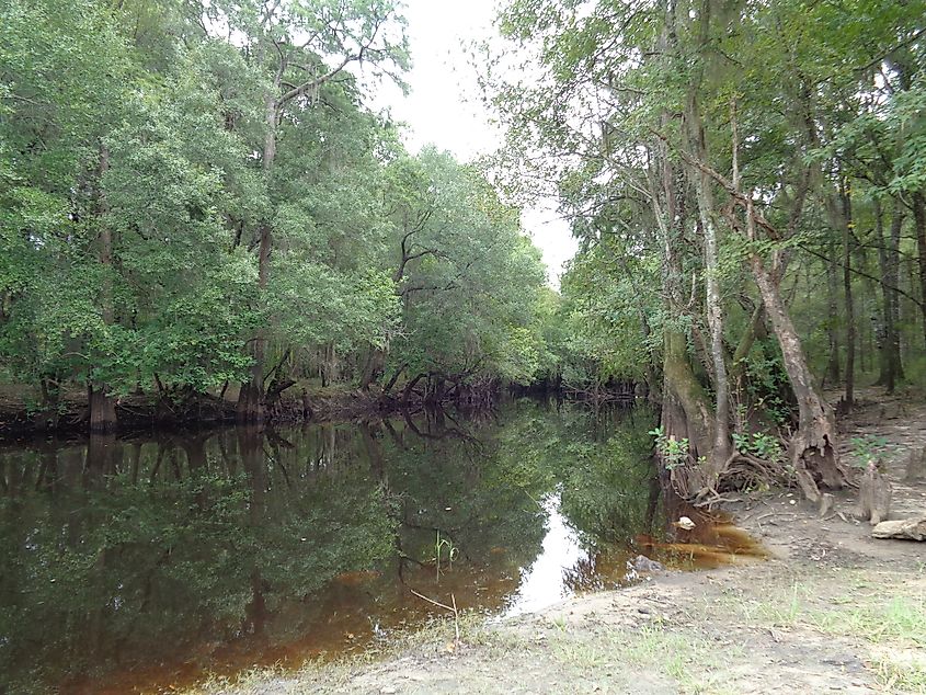 Satilla River