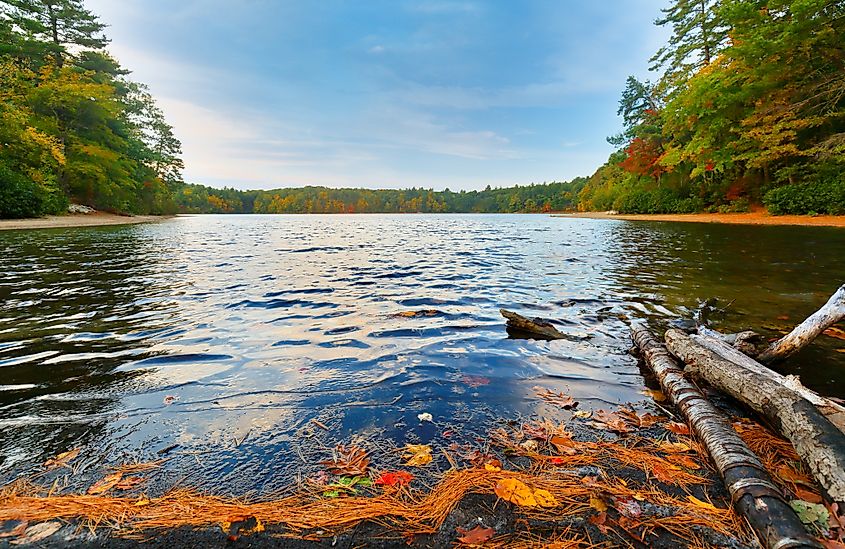 Serene lake scene with calm water reflecting a blue sky. Autumn leaves and logs float by the shore, surrounded by colorful fall trees. Peaceful atmosphere.