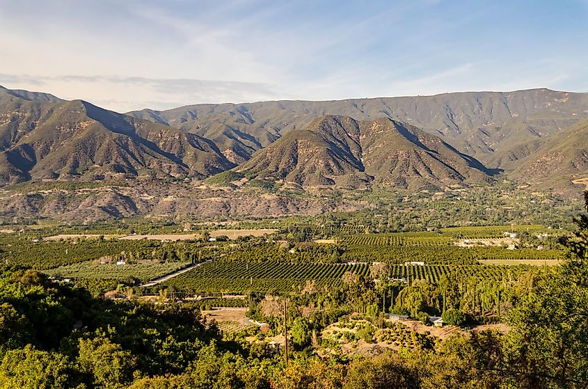 Panoramic view of Ojai Valley before 2017 wildfires