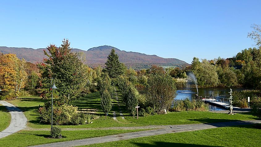 Greenery in Eastman, Quebec