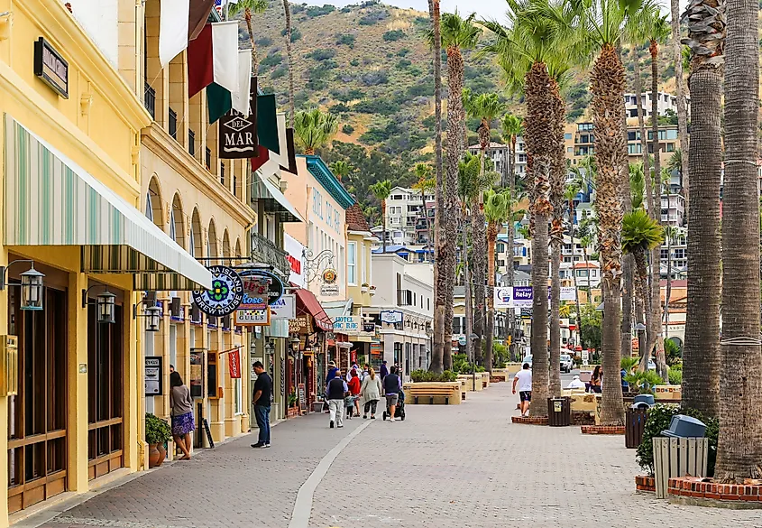 The town of Avalon, California