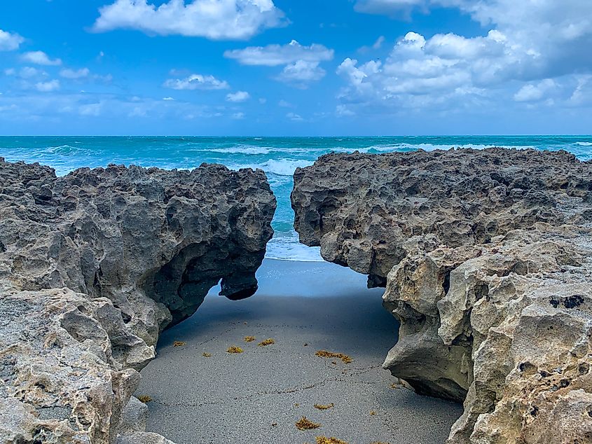 Rock formations at Blowing Rocks Preserve in Florida.