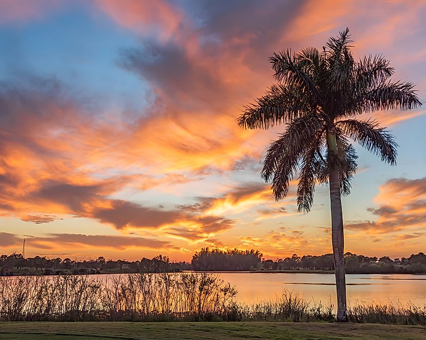 Sunset on Lake Okeechobee, West Palm Beach, FL.