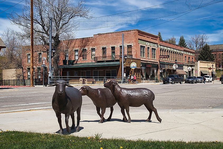 Statue of sheep on a corner in Buffalo, Wyoming, on a sunny spring day.