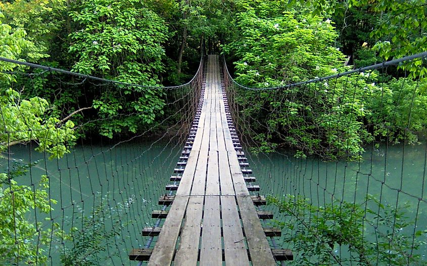 Swing bridge crossing the Wolf River at Sgt. Alvin C. York State Historic Park in Pall Mall, Tennessee. Credit: Brian Stansberry, CC BY 3.0 <https://creativecommons.org/licenses/by/3.0>, via Wikimedia Commons
