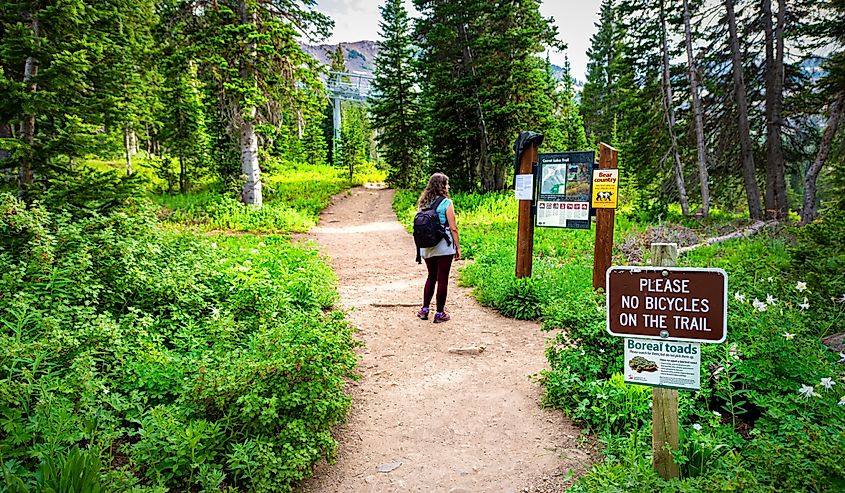 Sign for Cecret Lake trail in Albion Basin, Utah summer in Wasatch mountains with woman hiking looking at information signpost with no bicycles