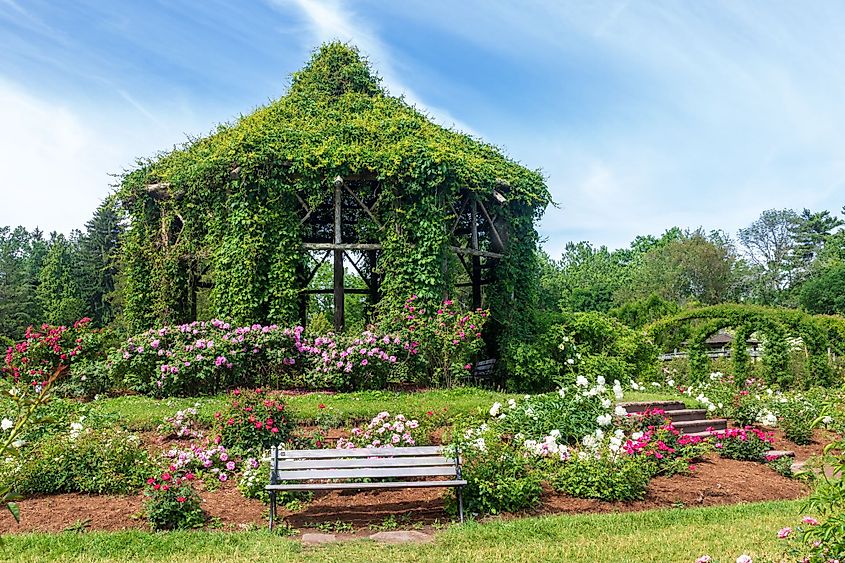 Gazebo surrounded by roses in Elizabeth Park, West Hartford, Connecticut