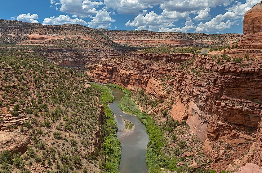 Dolores river canyon scenic view from Hanging Flume viewpoint on Unaweep-Tabeguache scenic byway (Colorado, USA)