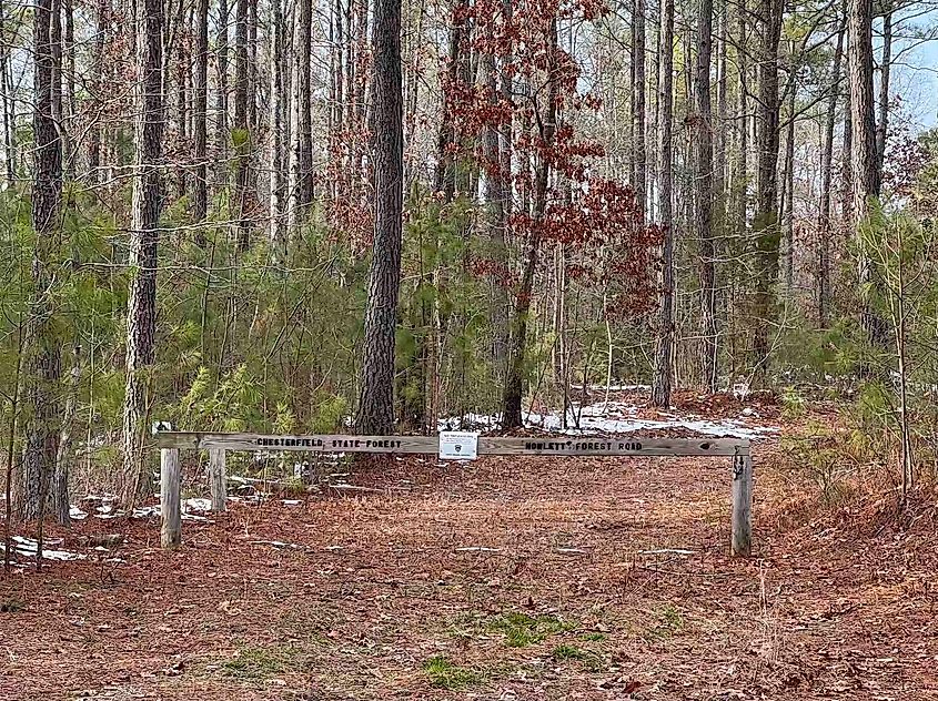 Chesterfield State Forest gate in Chesterfield County, Virginia.Via Packer1028, CC0 / Wikimedia Commons