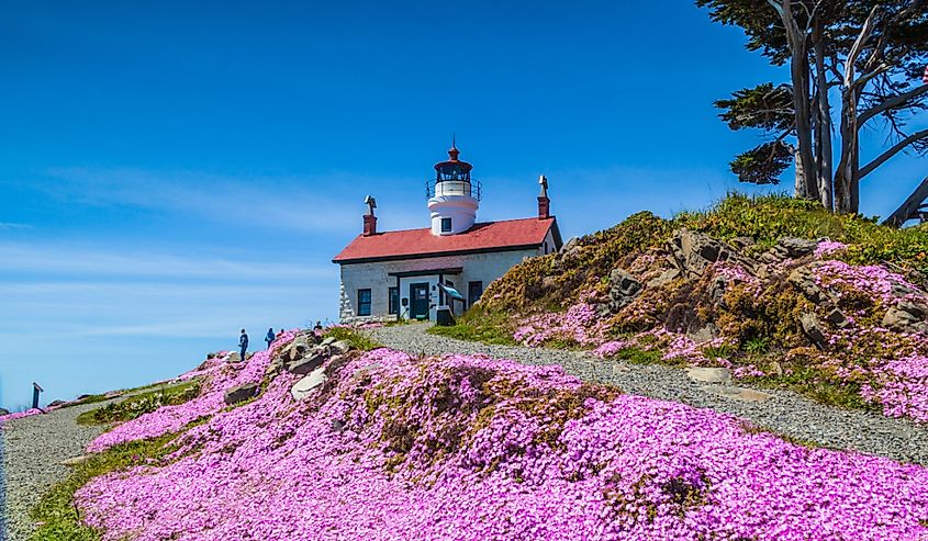 Foreground view of the Battery Point Lighthouse in Crescent City, California.