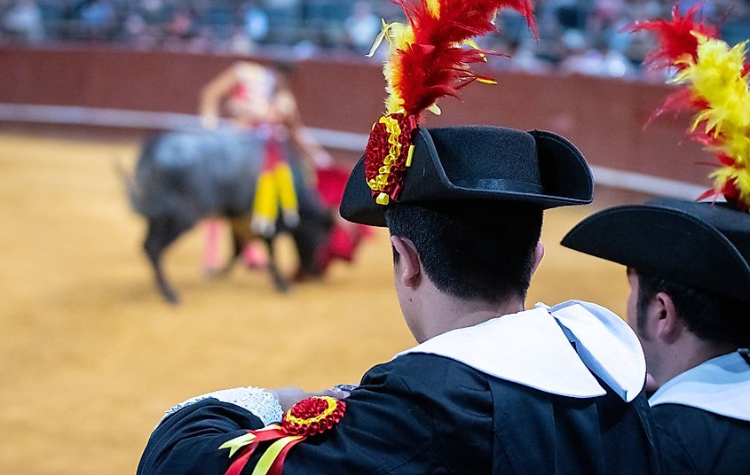 Traditional bullfighting in Spain