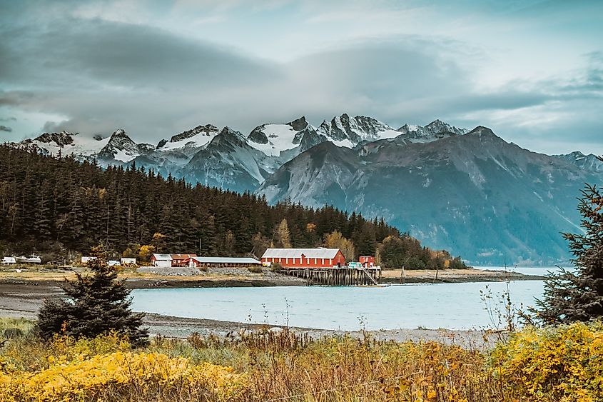 Stunning fall scenery in Haines, Alaska.