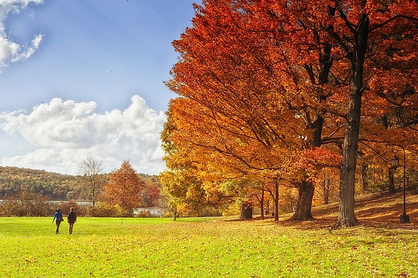 Autumn foliage across the Wellesley College campus in Massachusetts.