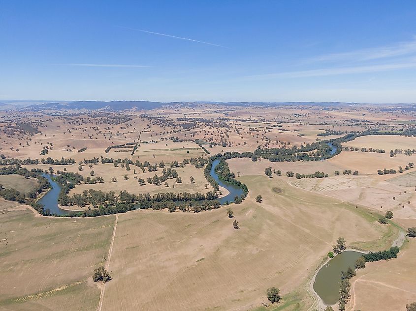 Murrumbidgee River flowing through the Murrumbidgee Irrigation Area.