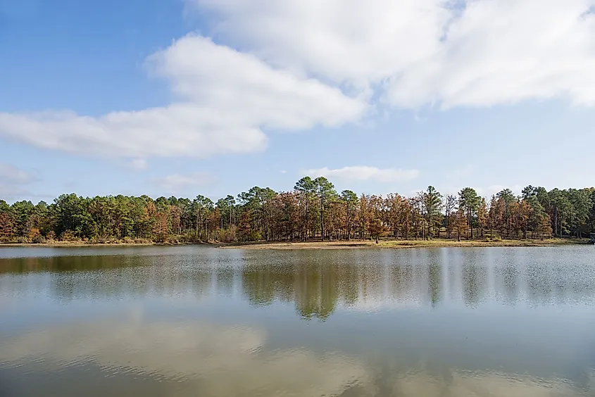 Toledo Bend Reservoir, Texas.