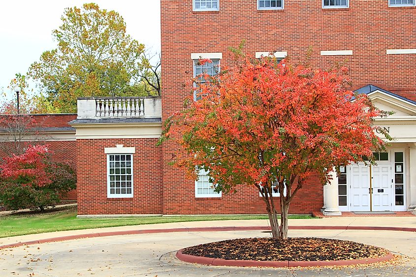 A Colorful Autumn Day at Lyon College Just Before the Founder's Day Celebration in Batesville