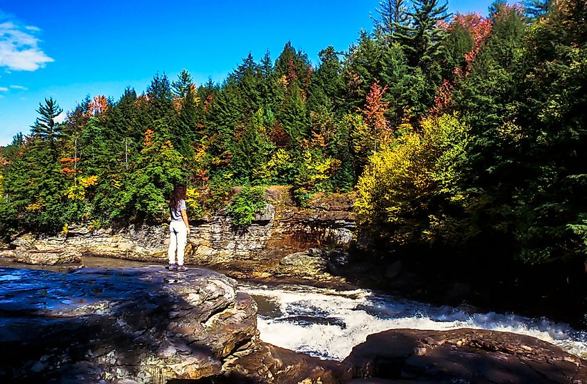 Swallow Falls State Park, Maryland