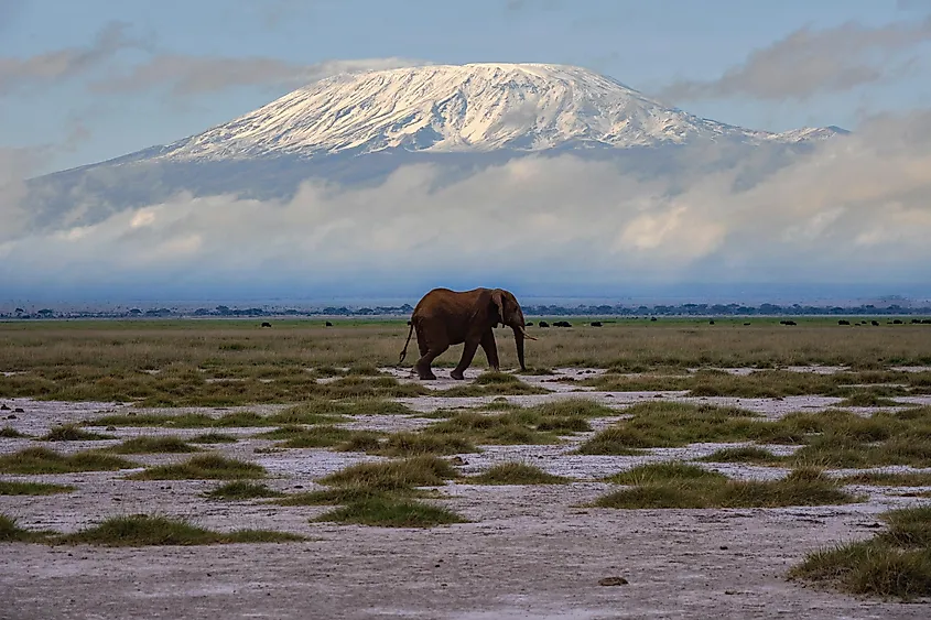 Mount Kilimanjaro