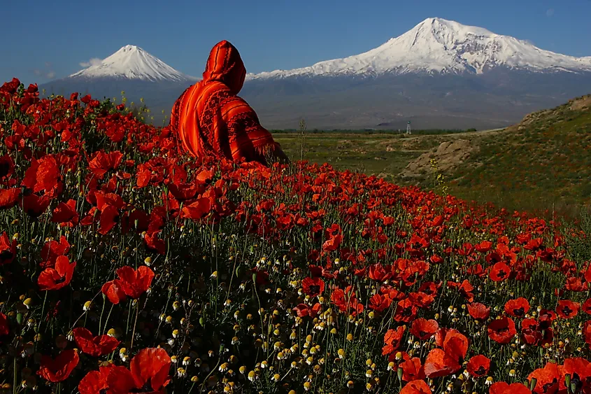 Mount Ararat