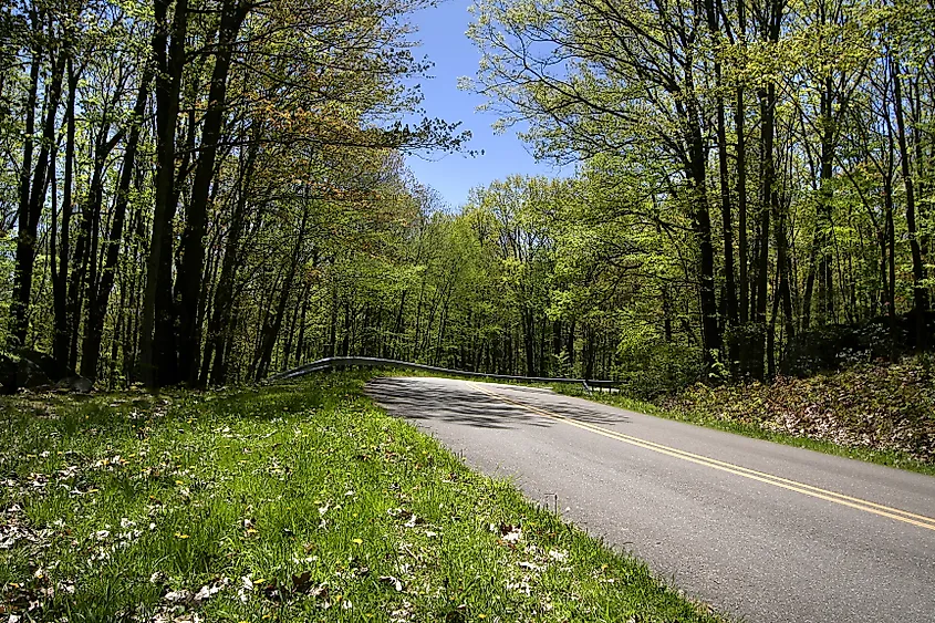 Allegany State Park offers a wooded stretch of road near the western end of the drive from Owego to Jamestown.