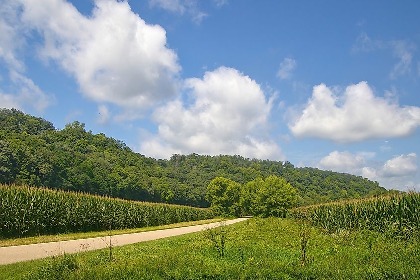 Root River State Trail passing between cornfields in a lush, wooded valley near Lanesboro, Minnesota.