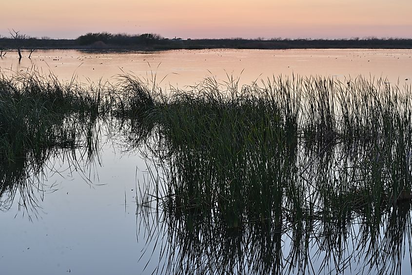 Choke Canyon Reservoir, Texas