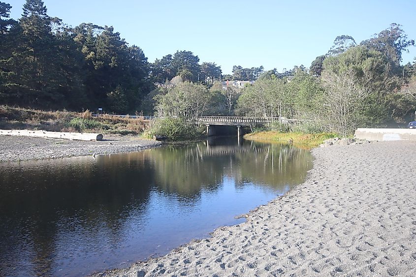 Van Damme State Park, California