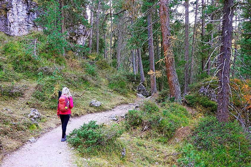 Young woman trekking the Adolf Munkel Trail