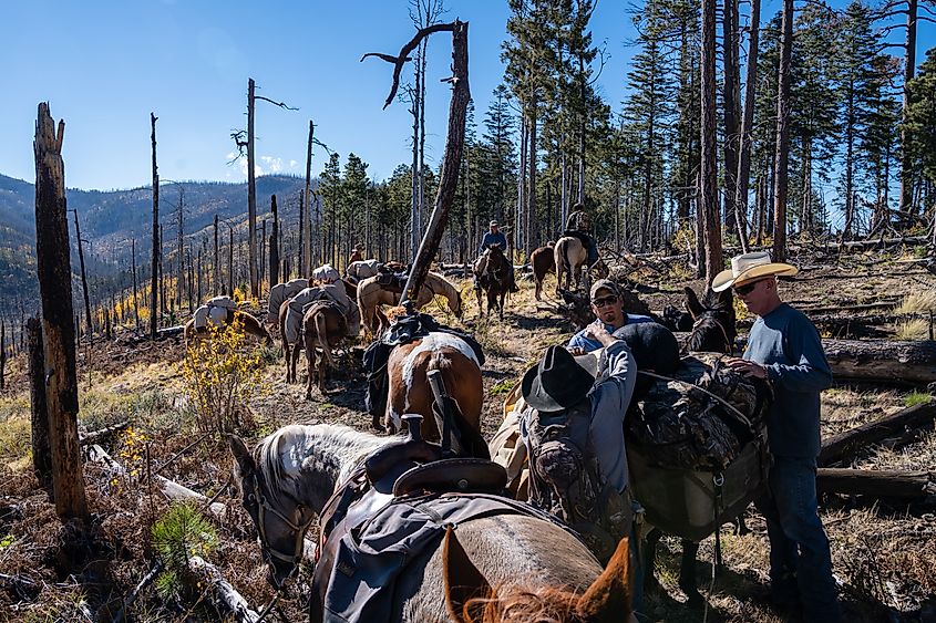 People out in Gila National Forest near Glenwood in New Mexico.