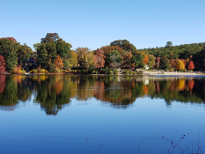 Fall foliage in Houghton's Pond in Milton, Massachusetts