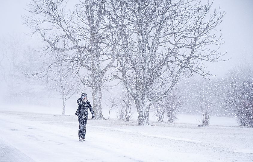 A person walking in the snow at the Buffalo Botanical Gardens.