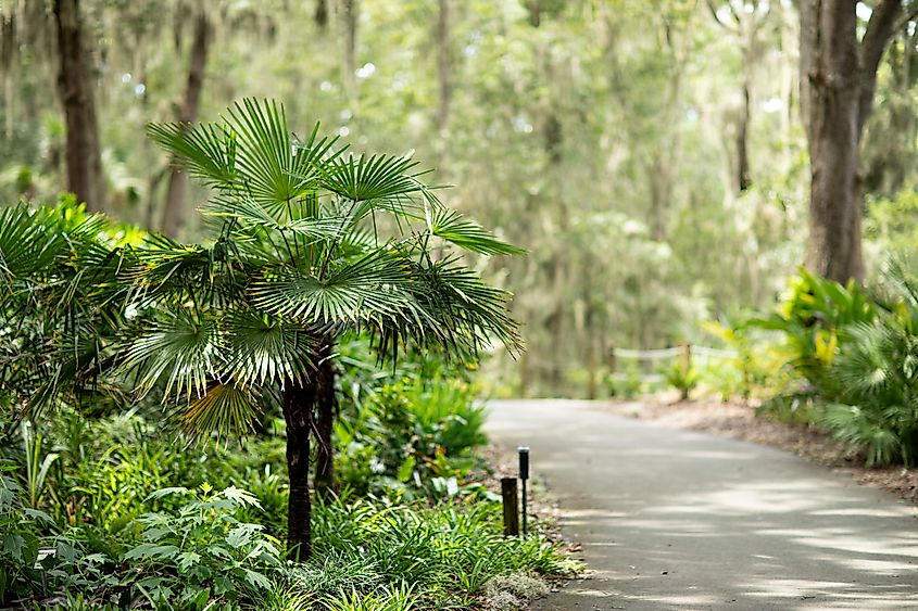 Jacksonville Arboretum and Botanical Gardens