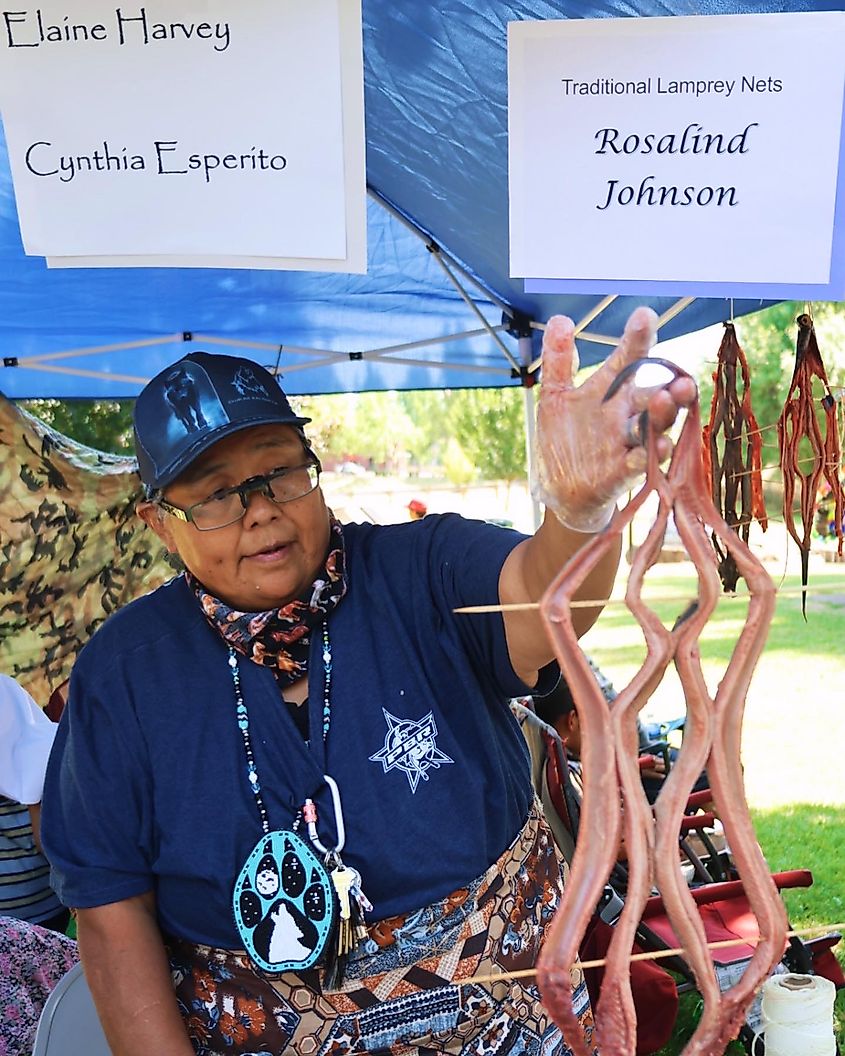 Man demonstrates the butterfly fillet method, a technique used to dry and preserve the lamprey. Photo credit: Columbia River Inter-Tribal Fish Commission.