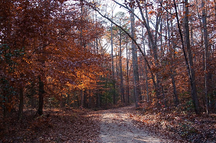 Pocahontas State Park in Virginia.