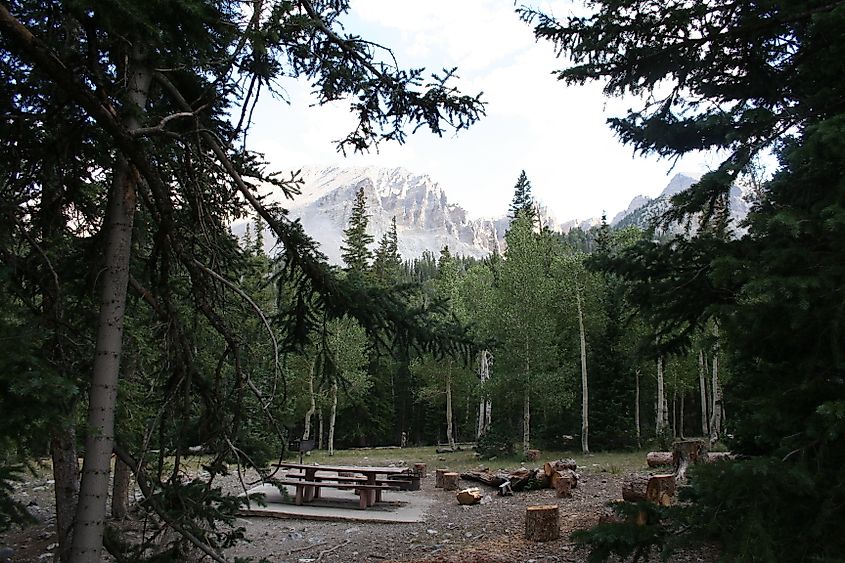 Camp site with Wheeler Peak cirque in the background.